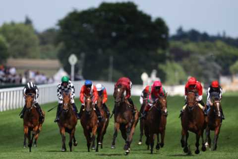 5.00 Royal Ascot result – day 2: Who won the Royal Hunt Cup 2023? How every horse finished