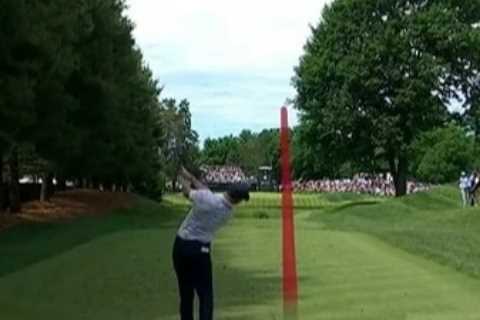 Watch Rory McIlroy hit stunning hole-in-one at Travelers Championship and fans are in shock at..