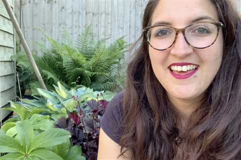 I’m a garden expert – these eight  features can slash the value of your home by £1,000s