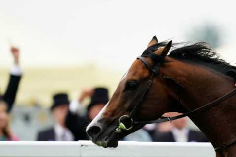 3.40 Royal Ascot result – day 5: Who won the Queen Elizabeth II Jubilee Stakes 2023? How every..