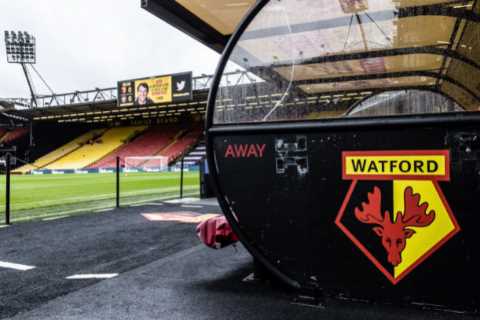 Watford FC physio Phil Edwards ‘carried out horrifying sex attacks on 29 teen boys at club’, report ..