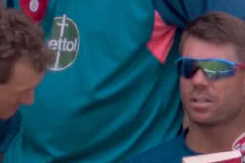 Australia star David Warner winds down during Ashes with The Sun’s crossword book as Ponting..