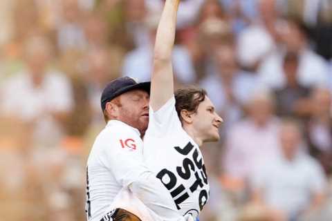 England cricket ace Jonny Bairstow hailed a hero by Rishi Sunak for carting eco-activist off Ashes..