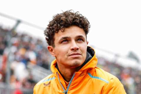 F1 ace Lando Norris is victim of ‘expensive robbery’ at Marbella villa two years after he was..