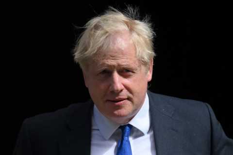 Commons panel which investigated Boris Johnson in free speech row after attacking critical MPs