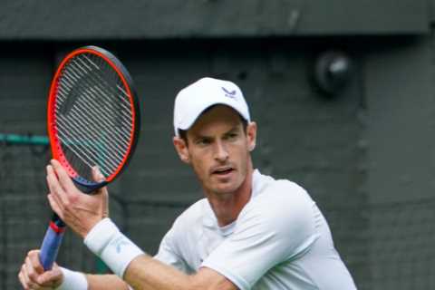 Tennis fans claim Wimbledon 2023 draw is ‘RIGGED’ and demand redraw as they say ‘y’all are not..