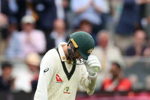 Ashes fans hail one ‘of the great moments in cricket history’ as injured Nathan Lyon hobbles out to ..