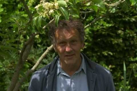 Gardeners World star Monty Don issues ‘warning’ &amp; is forced to reveal gardening crisis