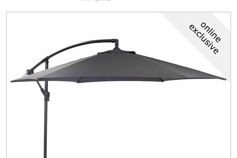 Bargain hunter nabs garden essential scanning at just £40 at the till in Wilko