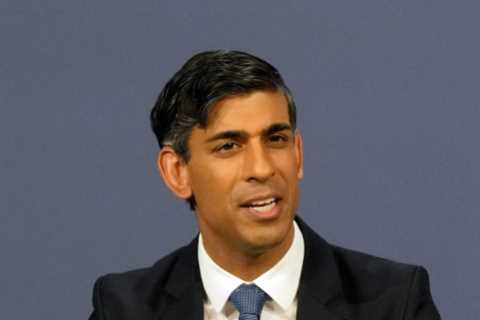 Tory MPs turn the heat up on Rishi Sunak over immigration with rival plan to slash numbers by the..