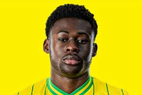 Chelsea complete SECOND transfer signing within 24 hours as Championship wonderkid joins Blues from ..