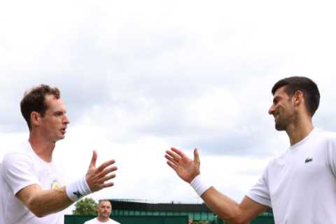 Andy Murray eyes up incredible THIRD Wimbledon title as he says ‘only Djokovic knows this place..