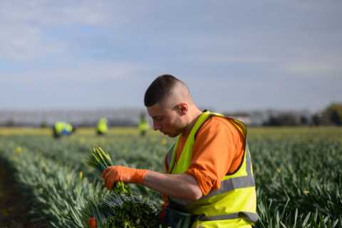 Top business chiefs vow to hire more home-grown talent &amp; ex-lags rather than rely on cheaper..