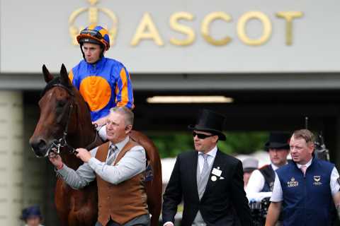 Emily Upjohn vs Paddington in the Coral-Eclipse will be a cracker and this is who I’m tipping to win