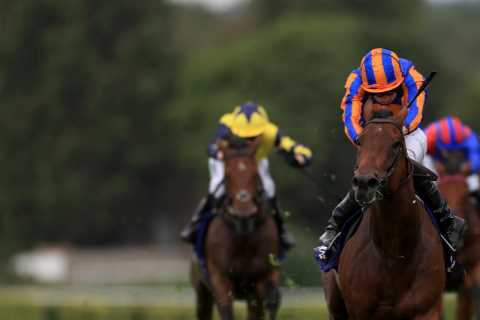 Paddington makes it six wins on the bounce with a thrilling win in Coral-Eclipse as punters hail..