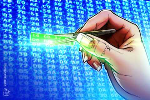 48% fewer new crypto coders last year - developer report 