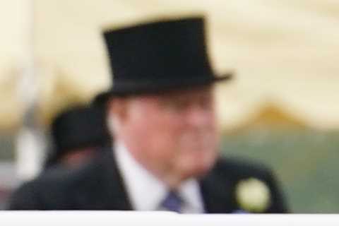 Paddington’s rise is epic – but what the hell’s happened to Chaldean? Plus my thoughts on the World ..