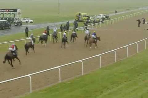 Wolverhampton race abandoned and jockey Dane O’Neill rushed to hospital following horror fall