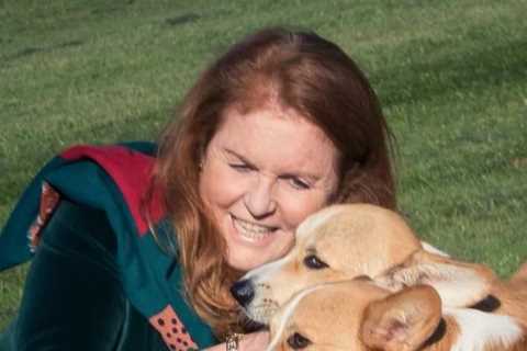 Sarah Ferguson reveals walking the late Queen’s corgis is helping her breast cancer recovery