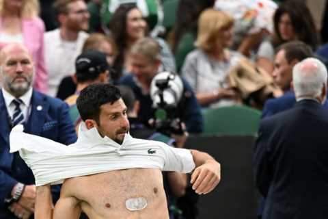 Wimbledon fans think Novak Djokovic is Terminator after star reveals ‘biggest secret’ when he takes ..