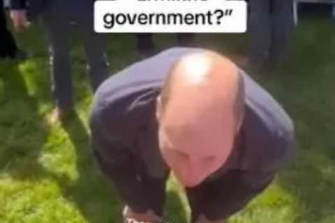 Hilarious moment little boy confuses Prince William for ‘the government’ during sweet meeting