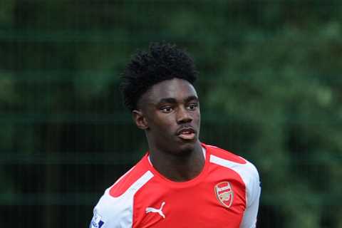 I played for Arsenal in the Champions League but retired aged just 23 – now I’m taking on the world ..