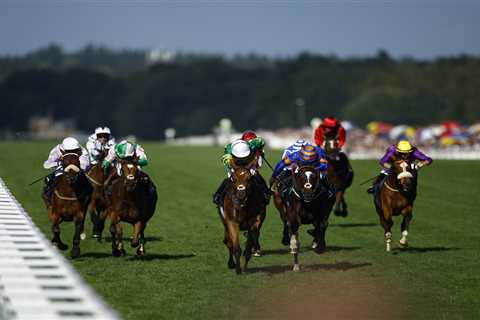I won £1k by picking four winning horses in four different races but the bookies won’t pay out –..