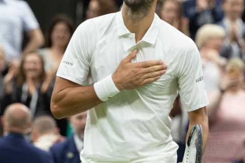 Novak Djokovic still on course for record-levelling eighth Wimbledon title after thumping Jannik..