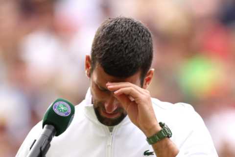 Novak Djokovic breaks down in tears on Centre Court after agonising Wimbledon defeat as wife Jelena ..