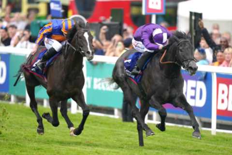 Aidan O’Brien could run incredible FIVE horses in blockbuster King George at Ascot including his..