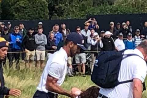 Open 2023: PGA Tour star Billy Horschel fends off Just Stop Oil yobs after they disrupt play at..