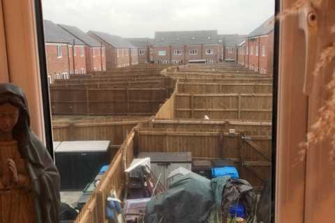 Newbuild homes slammed over bizarre fence design – can you spot glaring error?