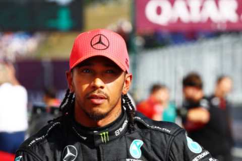 Lewis Hamilton on pole for first time in 595 DAYS after stunning qualifying lap at F1 Hungarian..