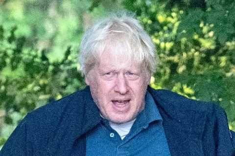 Tech buffs finally crack into Boris Johnson’s old phone to recover texts for Covid inquiry after he ..