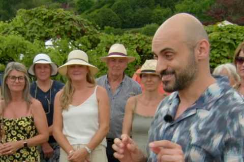 Antiques Roadshow guest gets nasty shock after learning truth behind treasured item