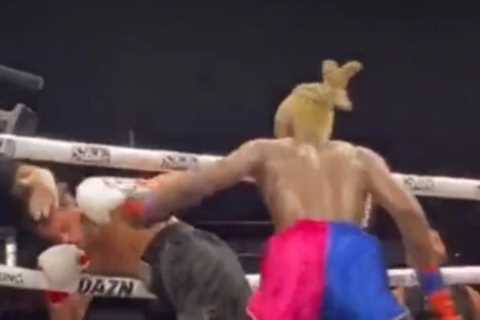 Boxing fans convinced cameraman SLAPPED fighter as he was being knocked out at Misfits as they fume ..
