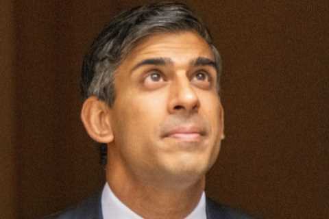 Rishi Sunak orders rethink of recycling levy amid fears it will push up costs