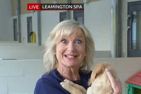 BBC Breakfast fans in stitches as Carol Kirkwood chewed by puppies in chaotic live report