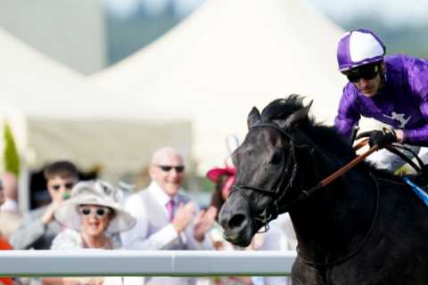 Top football agent Kia Joorabchian trying to win the best King George ‘for 25 years’ with superstar ..