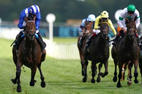 My big King George tip in a proper belter of a race… and why I also love this 7-1 chance at Ascot