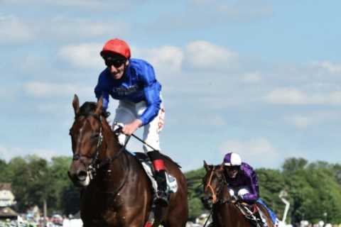 Epsom Derby and King George hero Adayar retired aged five as trainer Charlie Appleby says ‘he will..
