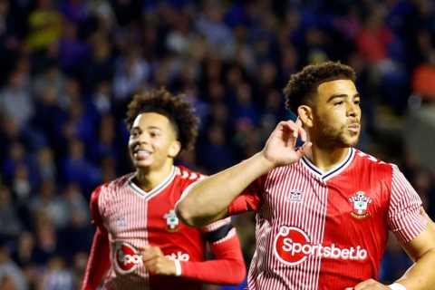 Sheff Weds 1 Southampton 2: Che Adams the hero as striker climbs off bench to bag winner in..