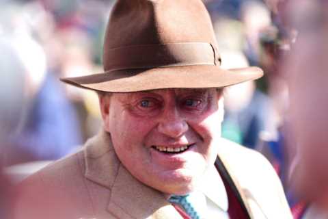 Nicky Henderson poaches two unbeaten horses worth £630,000 from rival’s yard