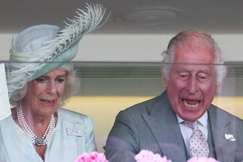 Horse who reduced King Charles to tears &amp; was left to him by Queen Elizabeth backed to end..