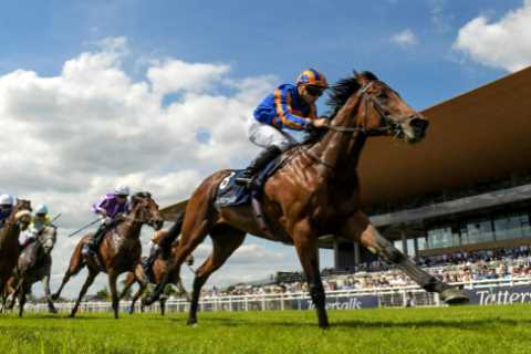We’ve got another superstar on our hands worthy of the nickname ‘Iron Horse’ and he’ll win again at ..