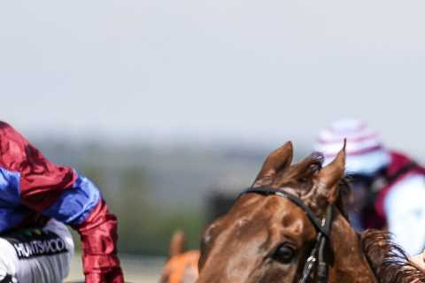 Goodwood Stewards’ Cup 2023 runner-by-runner guide and Templegate’s tip for bonkers 28-horse..