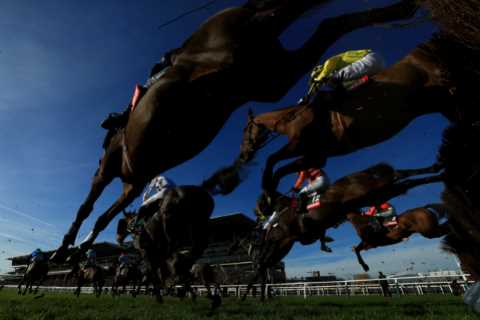 Top Jockey Arrested Over Alleged Rape