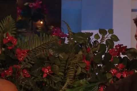 New Love Island feud revealed as bombshell SLAMS Mitch after After Sun appearance