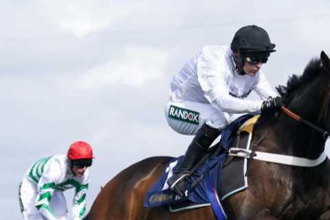 Will Constitution Hill Stay over Hurdles or Go Chasing?