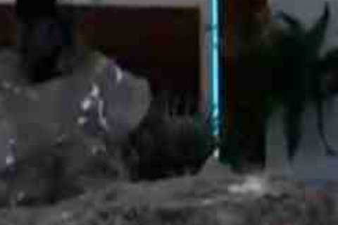 Watch the moment Love Island’s Ella takes a nasty tumble on screen as she’s tripped during Sports..